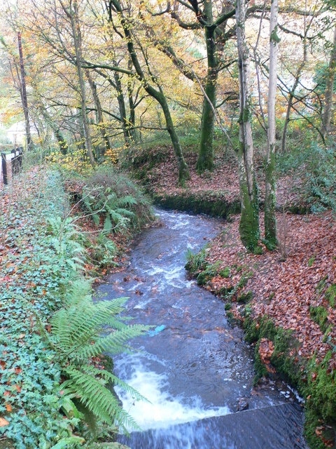 Buck's Mills boundary stream This stream, which used to power the corn mill at Buck's Mills, marks the boundary between the parishes of Parkham and Woolfardisworthy.