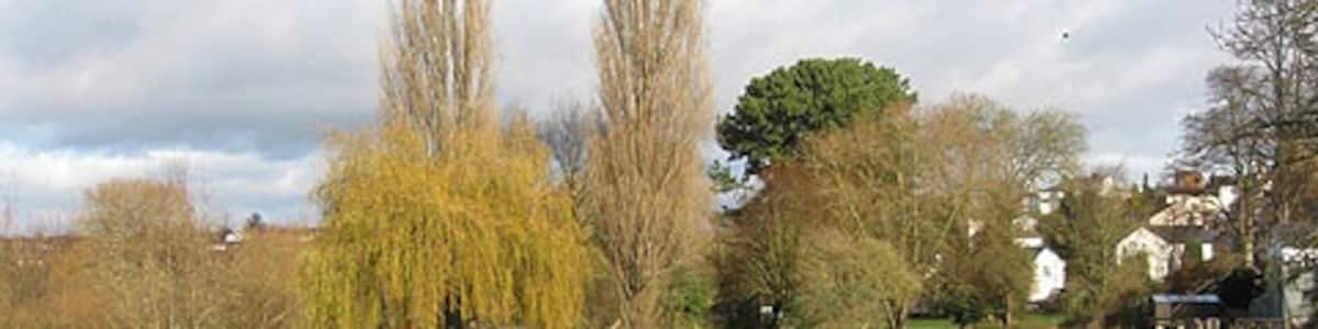 Photo "Reflected poplars The River Wye flows behind the treeline. The water to the front of the picture is a temporary lake formed when the river burst its banks and flowed onto the flood meadow. The twin poplars mark the canoe launching spot by the Riverside Inn." by Pauline Eccles (Creative Commons Attribution-Share Alike 2.0) / Cropped from original
