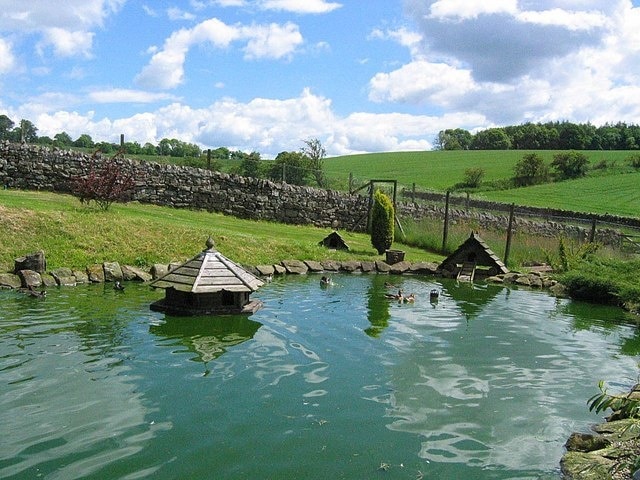 Ornamental duck pond at Parkhouse Farm