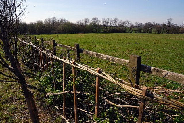 "Haddon"-foto av Julian Dowse (CC BY-SA) / Urklipp från original