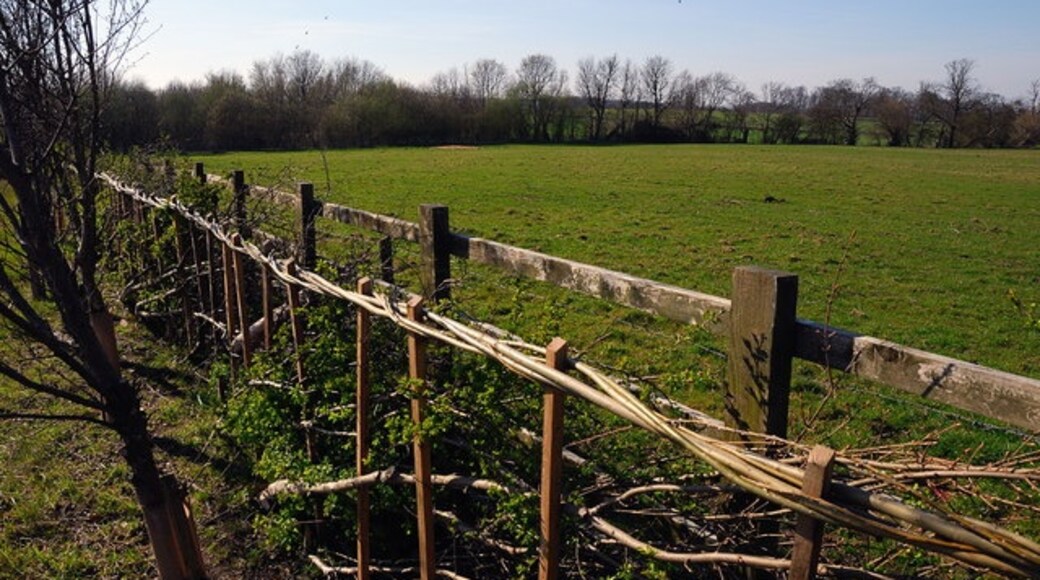 "Haddon"-foto av Julian Dowse (CC BY-SA) / Urklipp från original