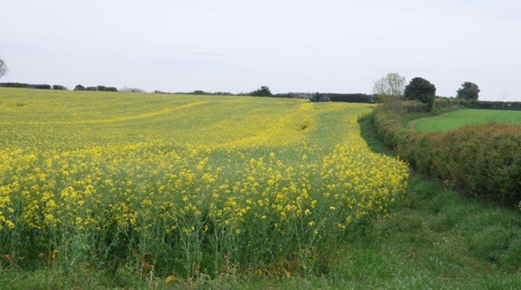 Foto "Winterborne Clenston" por Toby (CC BY-SA) / Recortada de la original