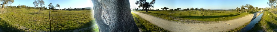 Dehesa Extremadura 360º