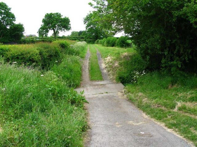 "Dalton"-foto av David Rogers (CC BY-SA) / Urklipp från original