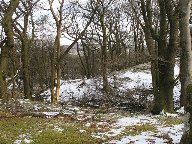 Foto „Docker“ von Richard Webb (CC BY-SA)/zugeschnittenes Original