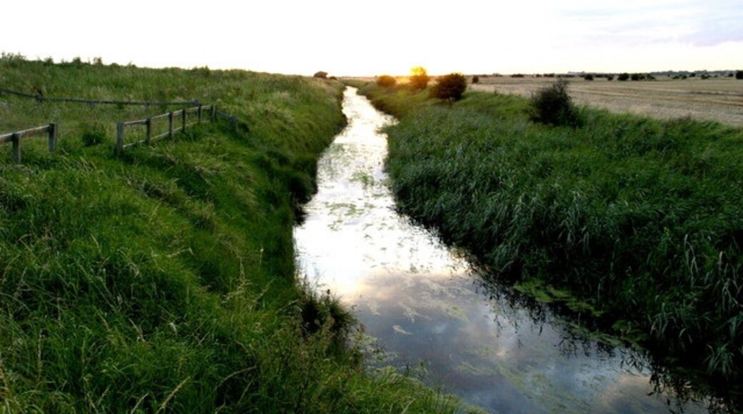 Billede "Skeffling" af Andy Beecroft (CC BY-SA) / beskåret fra det originale billede