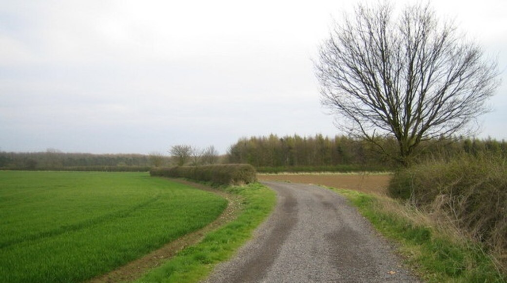 Photo "Aubourn with Haddington" by Matthew Smith (CC BY-SA) / Cropped from original