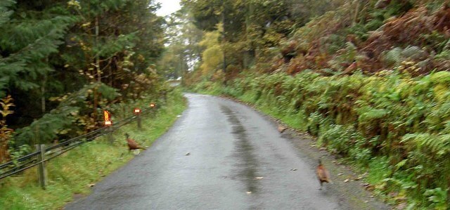 Foto “Blubberhouses” tomada por Steve F (CC BY-SA); recorte de la original