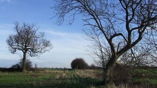 Kuva ”Chalgrave” käyttäjältä Rob Farrow (CC BY-SA) / rajattu alkuperäisestä kuvasta