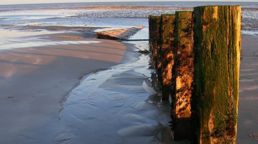 "Littlehamptons västra strand"-foto av Simon Carey (CC BY-SA) / Urklipp från original