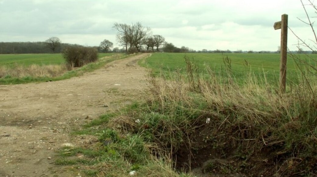 Kuva ”Doddinghurst” käyttäjältä Robert Edwards (CC BY-SA) / rajattu alkuperäisestä kuvasta