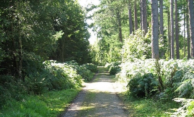 Ảnh "Làng Hipswell" của Antonia (CC BY-SA) / Cắt từ ảnh gốc