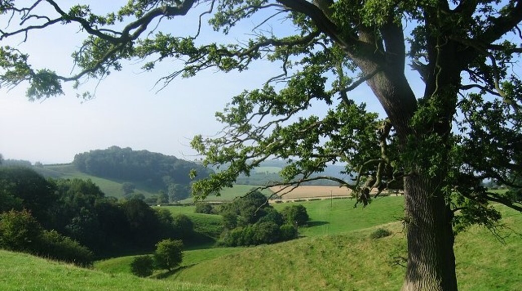 Foto “Castillo de Richard” tomada por Richard Webb (CC BY-SA); recorte de la original