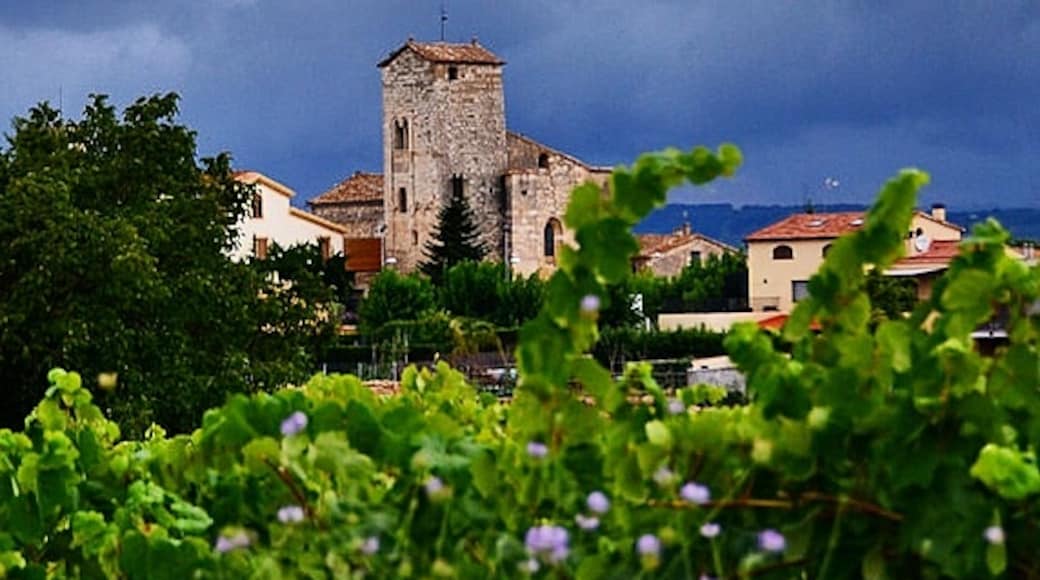 Photo "Vilafranca del Penedes" by MARIA ROSA FERRE ✿ (CC BY-SA) / Cropped from original