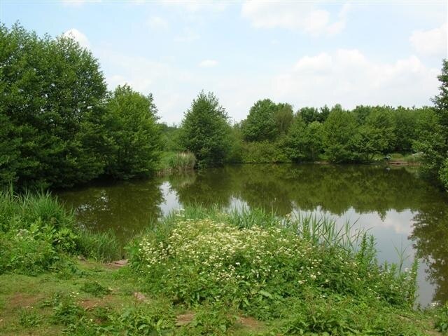 Photo "Thorpe Underwoods" by DS Pugh (CC BY-SA) / Cropped from original