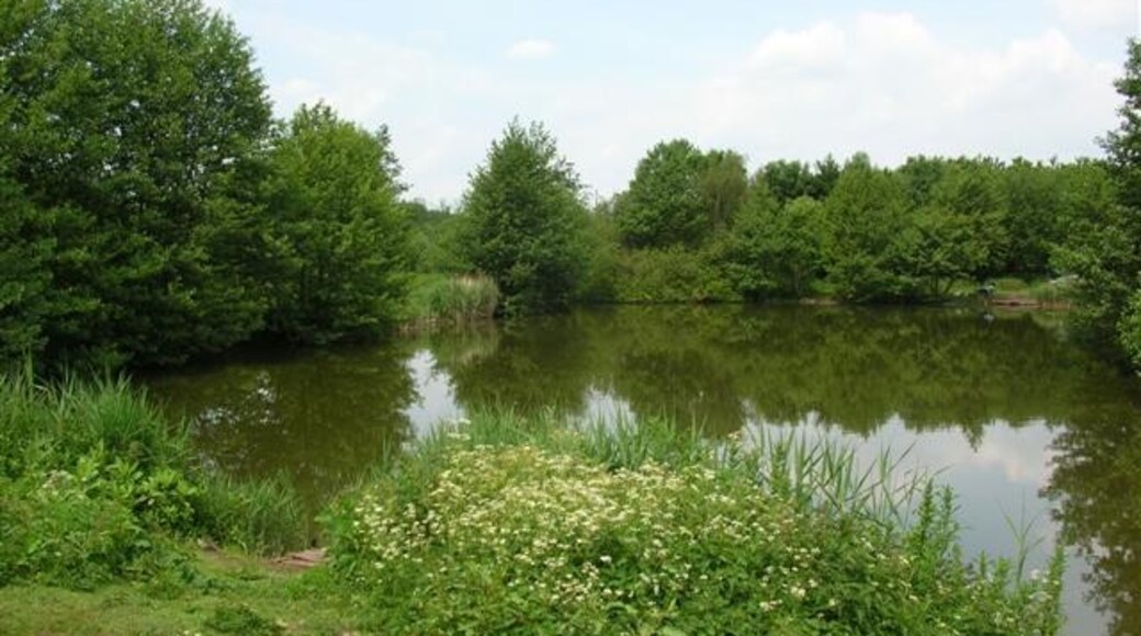 Photo "Thorpe Underwoods" by DS Pugh (CC BY-SA) / Cropped from original