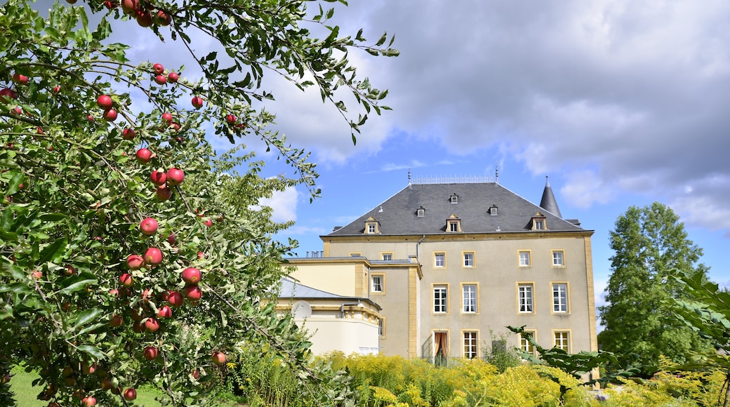 Foto ‘Château de Schengen’ van Guido Radig (CC BY) / bijgesneden versie van origineel