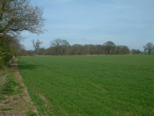 Round Wood viewed from the South Viewed from off the footpath From the edge of the dismantled railway