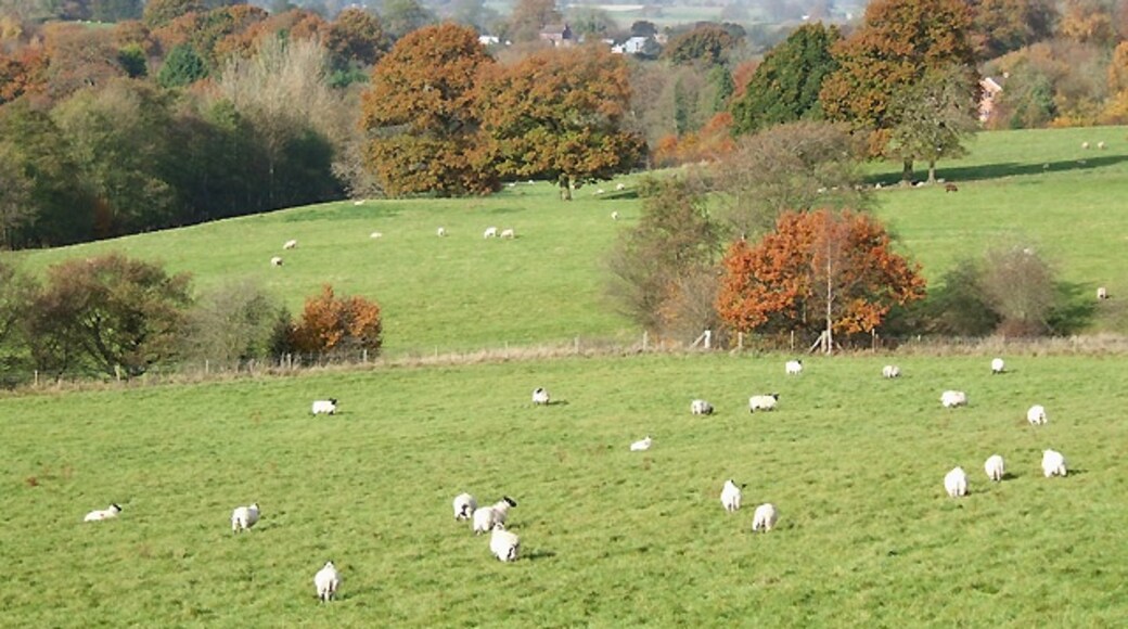 Kuva ”Neen Savage” käyttäjältä Roger Kidd (CC BY-SA) / rajattu alkuperäisestä kuvasta