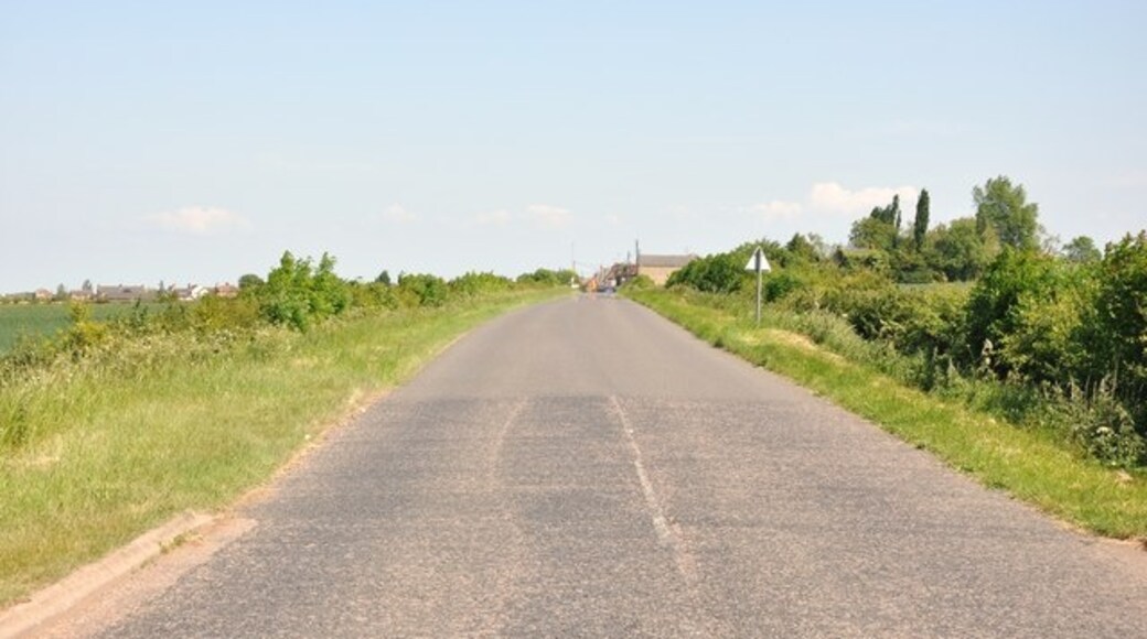 Foto “Woodford” tomada por MJ Reilly (CC BY-SA); recorte de la original