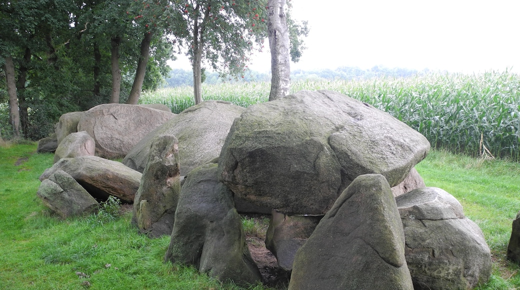 Foto ‘Oldenburger Münsterland’ van Megalithicguy (page does not exist) (CC BY-SA) / bijgesneden versie van origineel