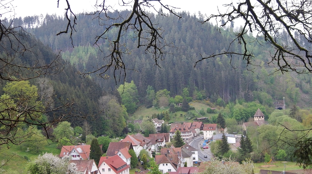 Bildet «Bad Teinach-Zavelstein» tatt av qwesy qwesy (CC BY) / originalbilde beskjært