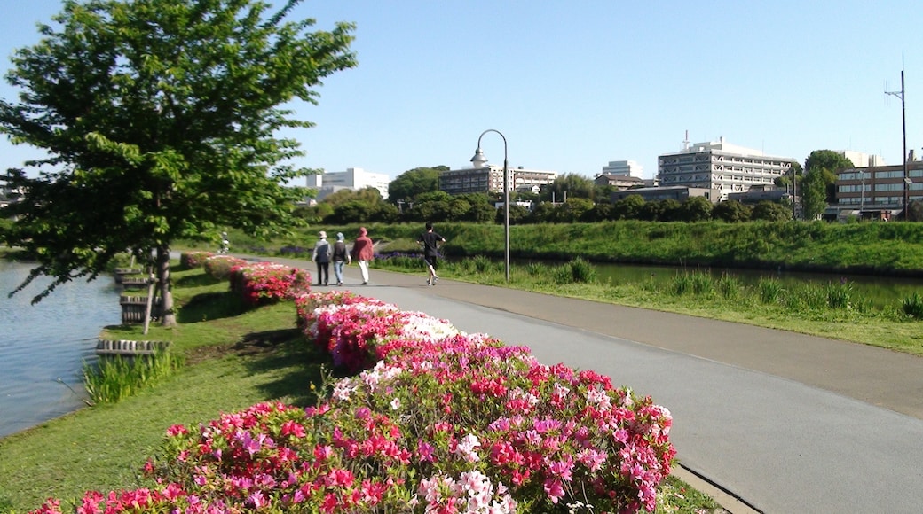 Foto „Park Kairaku-en“ von CyberOyaji (CC BY-SA)/zugeschnittenes Original