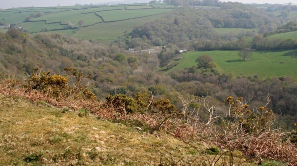 Foto "St. Ive" de Tony Atkin (CC BY-SA) / Recortada do original