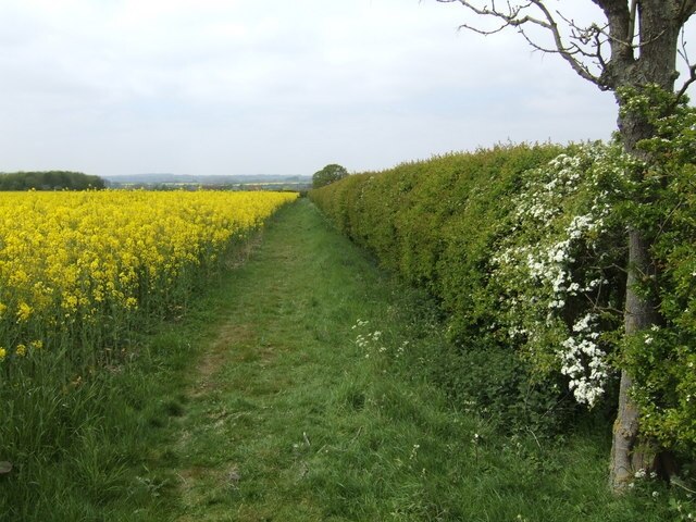 Foto “Hartwell” tomada por Jonathan Billinger (CC BY-SA); recorte de la original