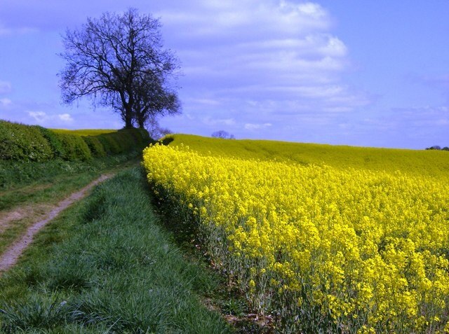 "Weedon Bec"-foto av Graham Horn (CC BY-SA) / Urklipp från original