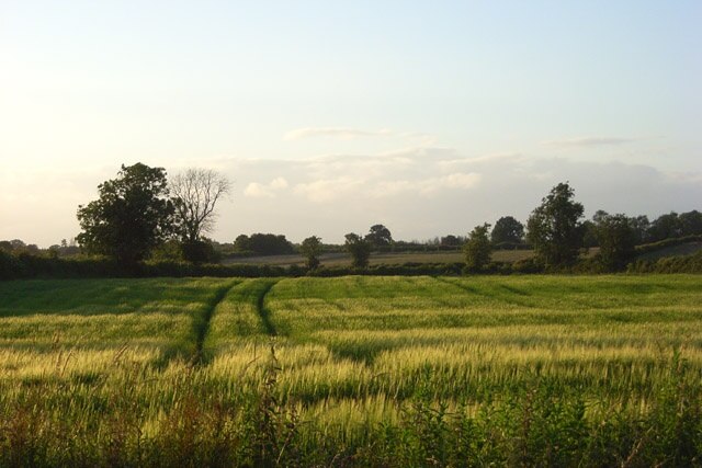 Foto "Stoke Lyne" de Andrew Smith (CC BY-SA) / Recortada do original