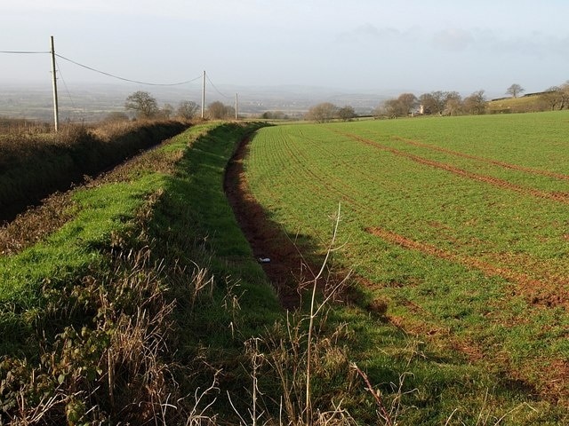 Field by Volis Cross. Taken from a bank beside 220701. On the left is the lane to Kingston St Mary.