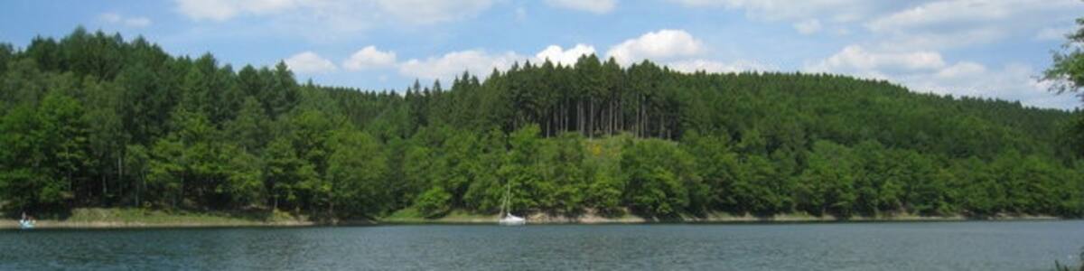 Photo "Aggertalsperre" by Sebastian und Kari on geo.hlipp.de (Creative Commons Attribution-Share Alike 2.0) / Cropped from original