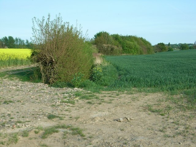 "Little Ness"-foto av David Luther Thomas (CC BY-SA) / Urklipp från original