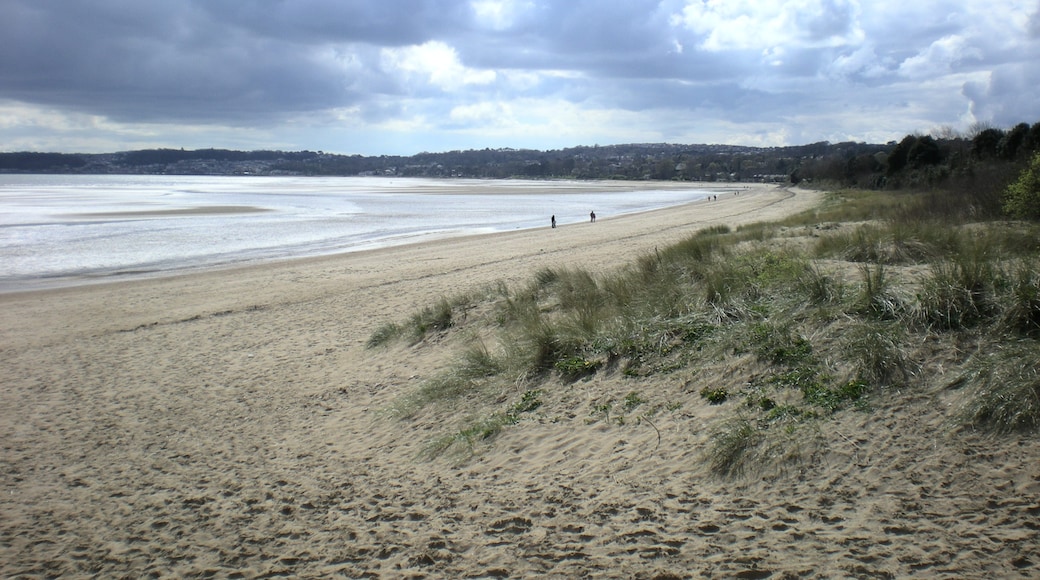 "Swansea Beach"-foto av Korentin (CC BY-SA) / Urklipp från original
