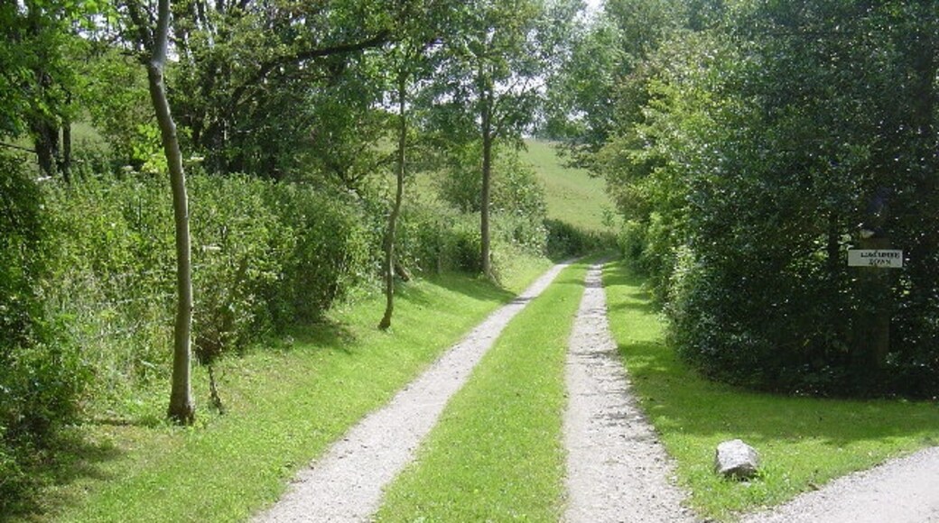 "Winterbourne Steepleton"-foto av Ivor Bending (CC BY-SA) / Urklipp från original