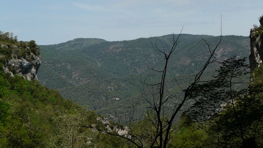 Photo "Prades" by Pere prlpz (CC BY-SA) / Cropped from original