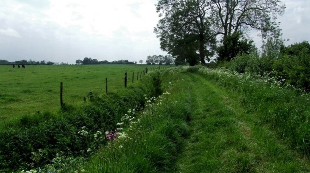 "Stickford"-foto av Dave Hitchborne (CC BY-SA) / Urklipp från original