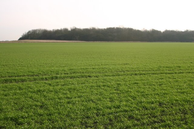 Foto “Upwood y los Raveleys” tomada por Shaun Ferguson (CC BY-SA); recorte de la original