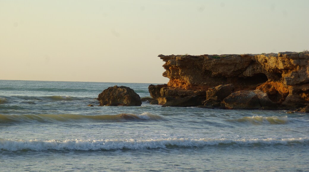 Foto "Playa Romana" de Concepcion AMAT ORTA… (CC BY) / Recortada de la original