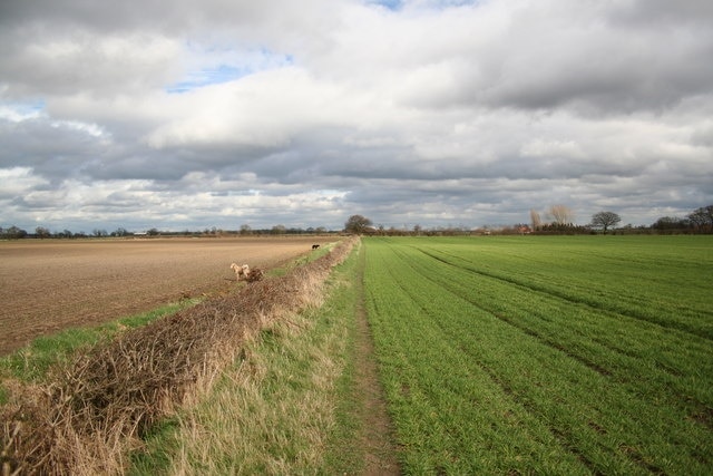 Trent Valley Way. Part of the Trent Valley Way long-distance footpath, looking east towards Moor Lane and Holly House Farm