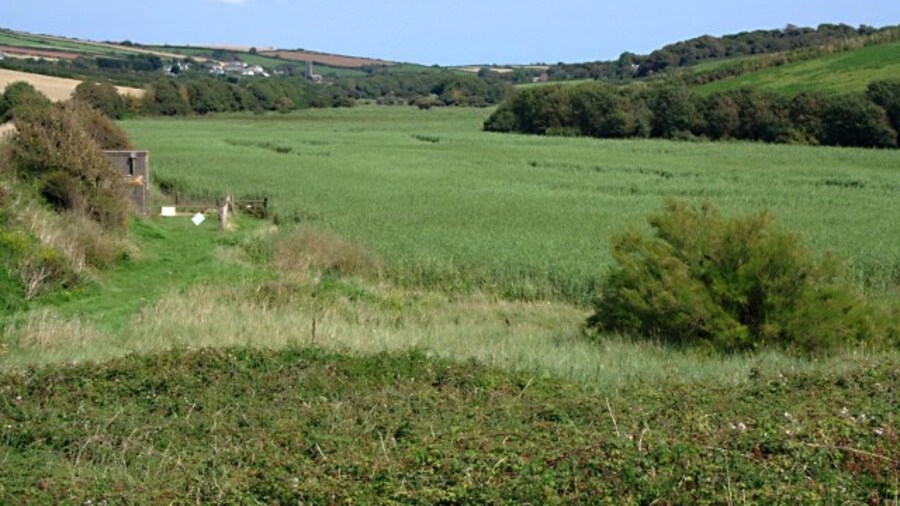 Photo "The Marsh Behind South Milton Sands The village of South Milton can be seen in the distance on the left hand valley slope." by Tony Atkin (Creative Commons Attribution-Share Alike 2.0) / Cropped from original
