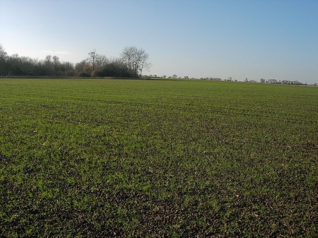 Foto „Dry Drayton“ von Hugh Venables (CC BY-SA)/zugeschnittenes Original