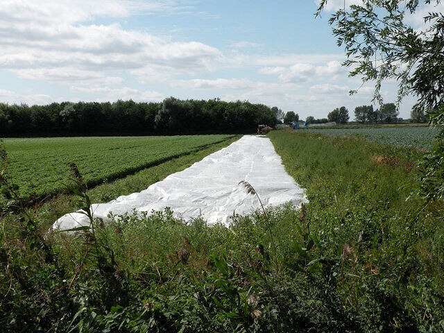 Kuva ”Swaffham Prior” käyttäjältä Keith Edkins (CC BY-SA) / rajattu alkuperäisestä kuvasta