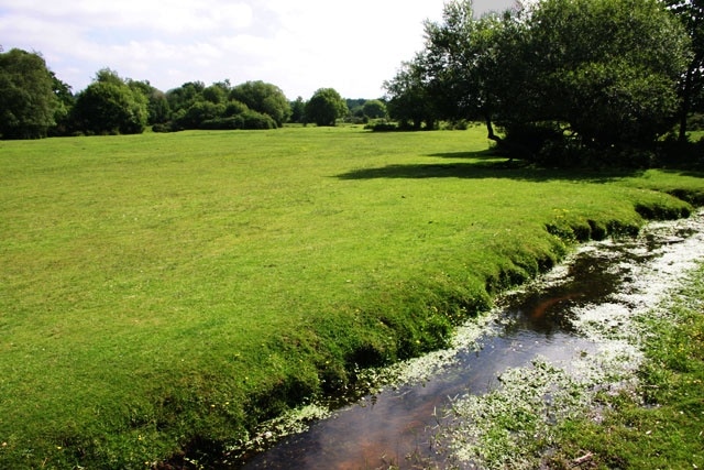 Mill Lawn Brook. In the New Forest a 'lawn' is any open area of short grass, just like your lawn at home. In this case the grass is kept that way by the ponies and cattle that are allowed to graze throughout the area. This is Mill Lawn, near Burley. The brook attracts lots of tourists in the summer and the lawn is often crowded. Come early though, and you have the place to yourself. Assistant photographer Kirsty, age 8.