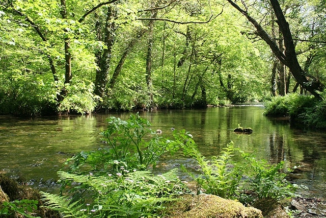 Buckland Monachorum: river Walkham 2 The river on a bright day in early May 2008