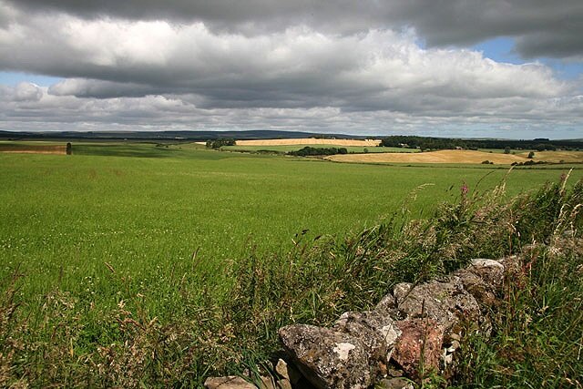 Farmland at Knock Hill Viewed from a track on the northeast side of the hill.