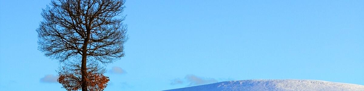Photo "Monte Santa Giulia" by Roberto Ferrari (Creative Commons Attribution-Share Alike 2.0) / Cropped from original