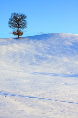 Monte Santa Giulia