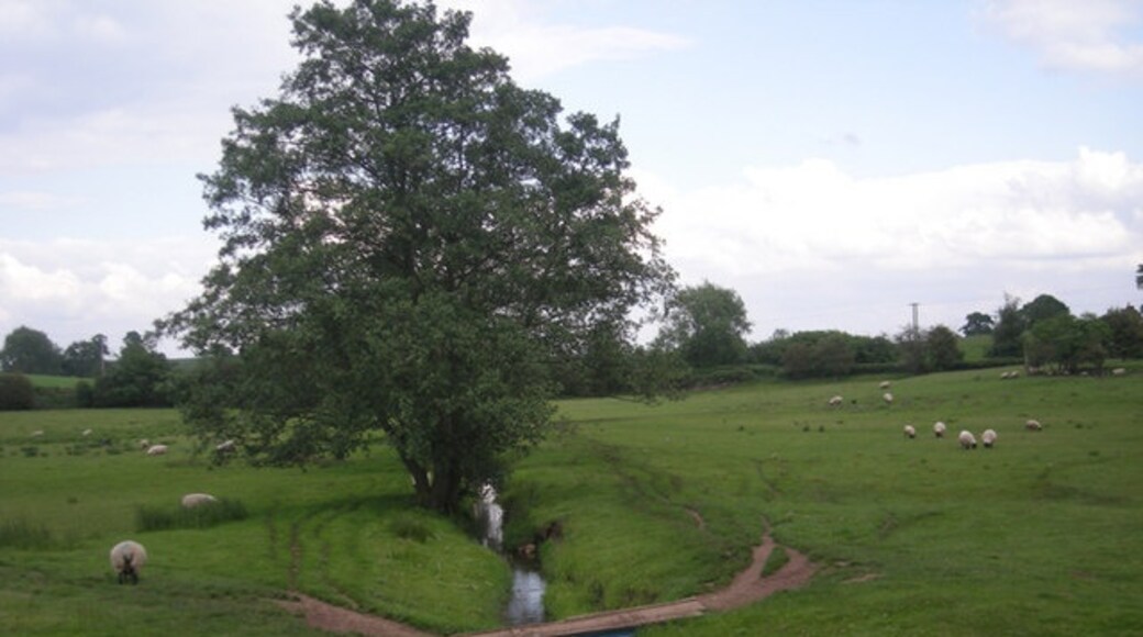 Photo "Sheriffhales" by Row17 (CC BY-SA) / Cropped from original